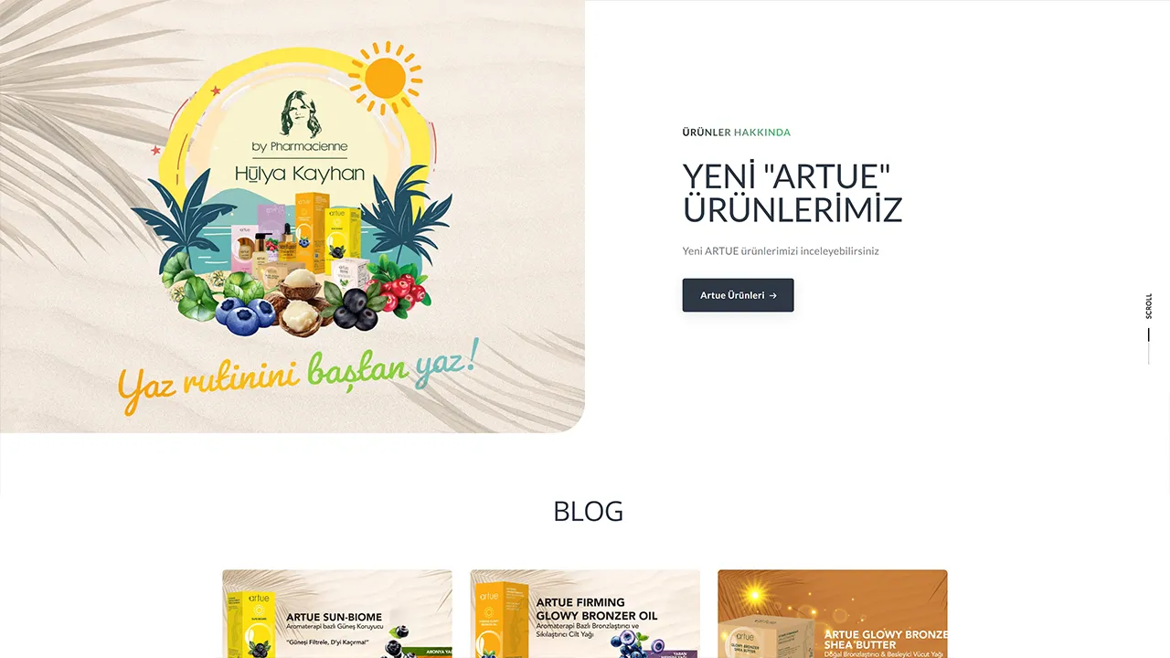 Hülya Kayhan kurumsal web sitesi - İş danışmanlığı ve kurumsal hizmetler için geliştirilen profesyonel web projesi